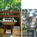 휘도 이미지