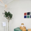 그린유통 | 대구유통단지가구 폴인퍼니 대구점 소파베드 보고 온 후기