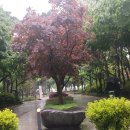 2.28기념 중앙공원 이미지