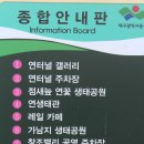 대구 연 터널 갤러리 / 연꽃향기 가득한 안심창조벨리(2) 이미지