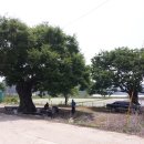 종곡마을 이미지