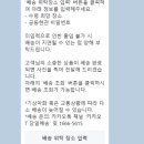 노량진 수산시장 형제상회 당일배송 모듬회 예약 후기