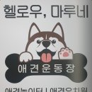 헬로우, 마루네 애견운동장 | 애견운동장 헬로우마루네 방문후기♪