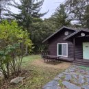 숲속의 집 이미지