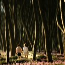 그대 함께 갈까요 . . .서천 장항송림산림욕장 이미지