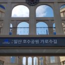 일산호수공원 가로수길 이미지