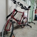 [판매완료] 대만제 자전거 카이저 아이리스 가격낮춰 팝니다. 이미지