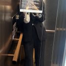 [언제든학교]왜-왜분석을 활용한 문제해결기법 | 연대? 고대? 난 「자대」 다닌다,,, [통계학과 대학원 면접 후기 / 면접 개조지는 법 / 합격 후기 아님❌]