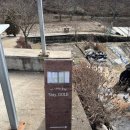 스테이돌레