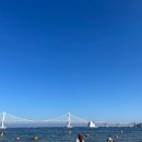 더 요트(THE YACHT)