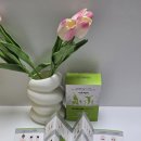 하루의 힐링 | 나은패치 하루의 피로를 풀어주는 한방 힐링패치 후기