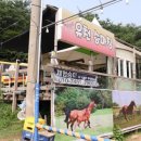 채기농장 이미지