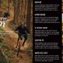 삼삼바이크 이미지