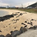 종달해변