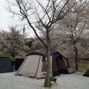 월성오토캠핑장 이미지