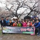 순천향매실마을 이미지