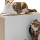 마이펫하우스 이미지