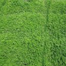 김명환농장 이미지