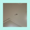 구로-현장-구로-1645 | 주먹으로 깨진천장 아파트 벽수리 하기