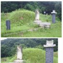 윤인함 묘 이미지