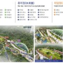 포항해맞이초등학교 이미지