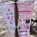 진안 이주택지교량 | “작천정 벚꽃, 두동 벚꽃, 무거천 궁거랑 벚꽃”을 따라 울산 벚꽃 감상을 했습니다.