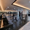 하이바디짐 이미지