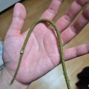 아이케어안과의원 이미지