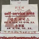 [호주워홀ㅣVIC 멜버른 D+ 195 ~ 212] 저는 지역이동 아티스트입니다.ㅣ멜버른 일상/ 멜버른 워홀...