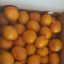 훈이네 농장 이미지