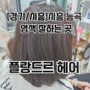 플랑드르헤어