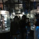 수원-0715 이미지