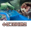 수성그린비 | 경남 가성비 숙소 고성 수성그린비펜션 갯벌체험 수영장