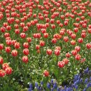 물놀이가자 이미지