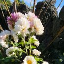 키즈키득펜션 이미지