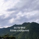 옥천1382 이미지