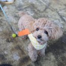 바이브식당