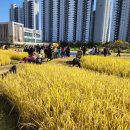 임병택 농장 이미지