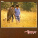 해바라기-청춘(1) Daum카페