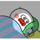 킹콩과일