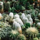 안양예술공원내 공영주차장 이미지