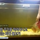 물고기