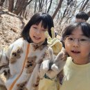 등촌태권도 이미지