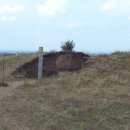 코미타투스 이미지