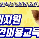펫반 네이버블로그