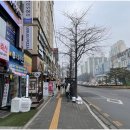 kt대리점 뒤 이미지