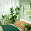 초록초록 가드닝 이미지