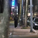 돼지게티시지점 | 2022.02 (1) _무념무상🤷🏻‍♀️ | 돼지게티 영접 | 개강전 여수여행 | 더포 | 미란다키친 | 카페소일