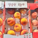 이레청과 - 용인시 처인구 용문로 178-1 | 이레청과