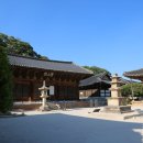 순천-52호 이미지